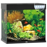 Juwel Juwel Aquarium Lido 120 Led filter  61 x 41 x 58 cm Juwel Juwel Aquarium Lido 120 Led filter  61 x 41 x 58 cm