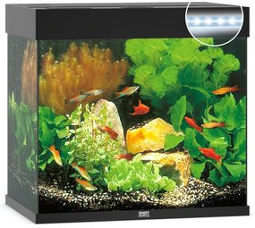 Juwel Juwel Aquarium Lido 120 Led filter  61 x 41 x 58 cm Juwel Juwel Aquarium Lido 120 Led filter  61 x 41 x 58 cm