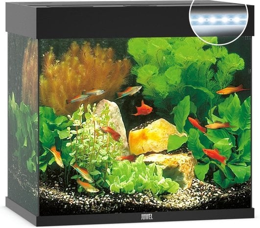 Aquarium Lido 120 Led filter x 41 x 58 cm - Heems