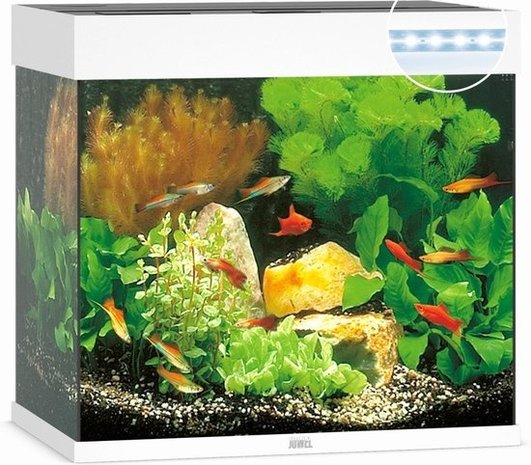 pensioen Heup Onveilig Juwel Aquarium Lido 120 Led filter 61 x 41 x 58 cm - Heems