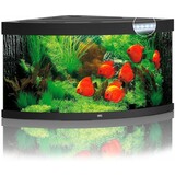 Juwel Juwel Aquarium Trigon 350 Led filter 123 x 87 x 65 cm Juwel Juwel Aquarium Trigon 350 Led filter 123 x 87 x 65 cm