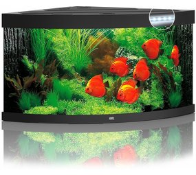 Juwel Juwel Aquarium Trigon 350 Led filter 123 x 87 x 65 cm Juwel Juwel Aquarium Trigon 350 Led filter 123 x 87 x 65 cm