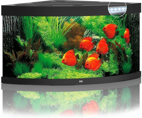 Juwel Juwel Aquarium Trigon 350 Led filter 123 x 87 x 65 cm