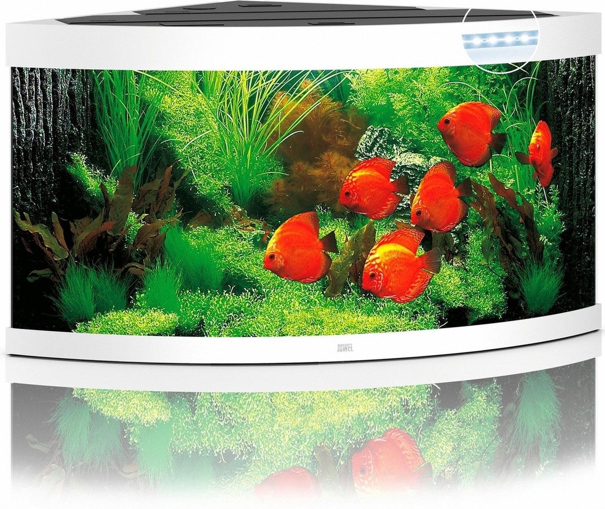 Juwel Juwel Aquarium Trigon 350 Led filter 123 x 87 x 65 cm