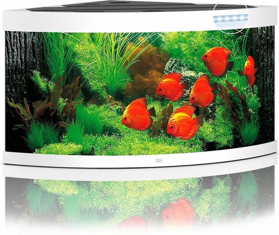 Juwel Juwel Aquarium Trigon 350 Led filter 123 x 87 x 65 cm