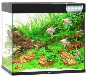 Juwel Juwel Aquarium Lido 200 Led filter 70 x 51 x 65 cm Juwel Juwel Aquarium Lido 200 Led filter 70 x 51 x 65 cm