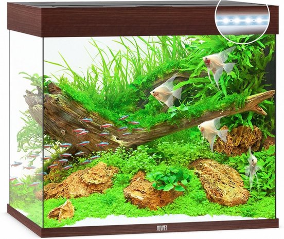 Juwel Juwel Aquarium Lido 200 Led filter 70 x 51 x 65 cm Juwel Juwel Aquarium Lido 200 Led filter 70 x 51 x 65 cm