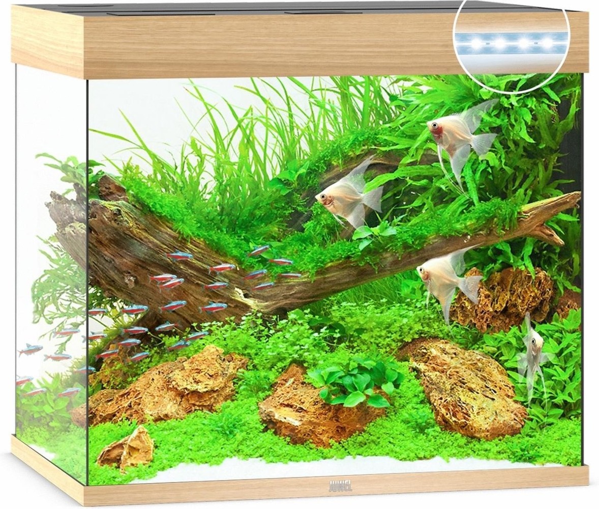 Juwel Juwel Aquarium Lido 200 Led filter 70 x 51 x 65 cm Juwel Juwel Aquarium Lido 200 Led filter 70 x 51 x 65 cm