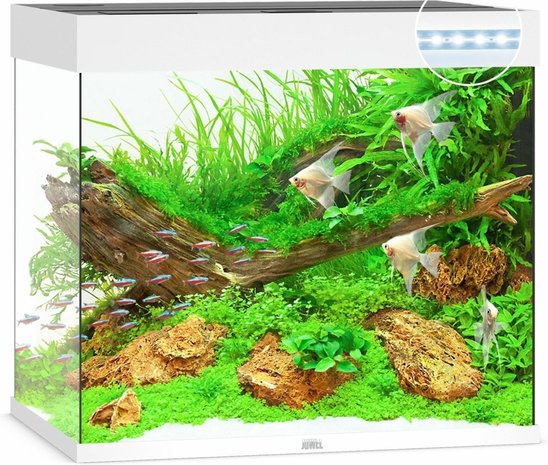 Juwel Juwel Aquarium Lido 200 Led filter 70 x 51 x 65 cm Juwel Juwel Aquarium Lido 200 Led filter 70 x 51 x 65 cm
