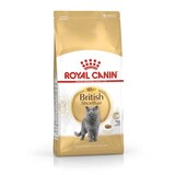 Royal Canin Royal Canin British Shorthair Royal Canin Royal Canin British Shorthair