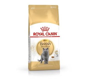 Royal Canin Royal Canin British Shorthair Royal Canin Royal Canin British Shorthair