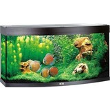Juwel Juwel Aquarium Vision 260 Led 121 x 46 x 64 cm Juwel Juwel Aquarium Vision 260 Led 121 x 46 x 64 cm