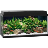 Juwel Juwel Aquarium Primo 110 F/v/tl/r 81 x 36 x 45 cm