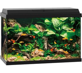Juwel Juwel Aquarium Primo 70 61 x 31 x 44 cm Juwel Juwel Aquarium Primo 70 61 x 31 x 44 cm