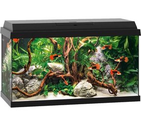 Juwel Juwel Aquarium Primo 60 Zwart 61 x 31 x 37 cm Juwel Juwel Aquarium Primo 60 Zwart 61 x 31 x 37 cm