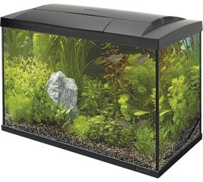 Superfish Superfish Start 70 Tropical Kit Superfish Superfish Start 70 Tropical Kit