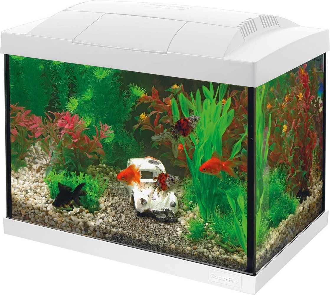 Superfish Superfish Start 20 Goldfish Kit Superfish Superfish Start 20 Goldfish Kit