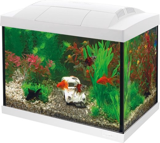 Superfish Superfish Start 20 Goldfish Kit Superfish Superfish Start 20 Goldfish Kit
