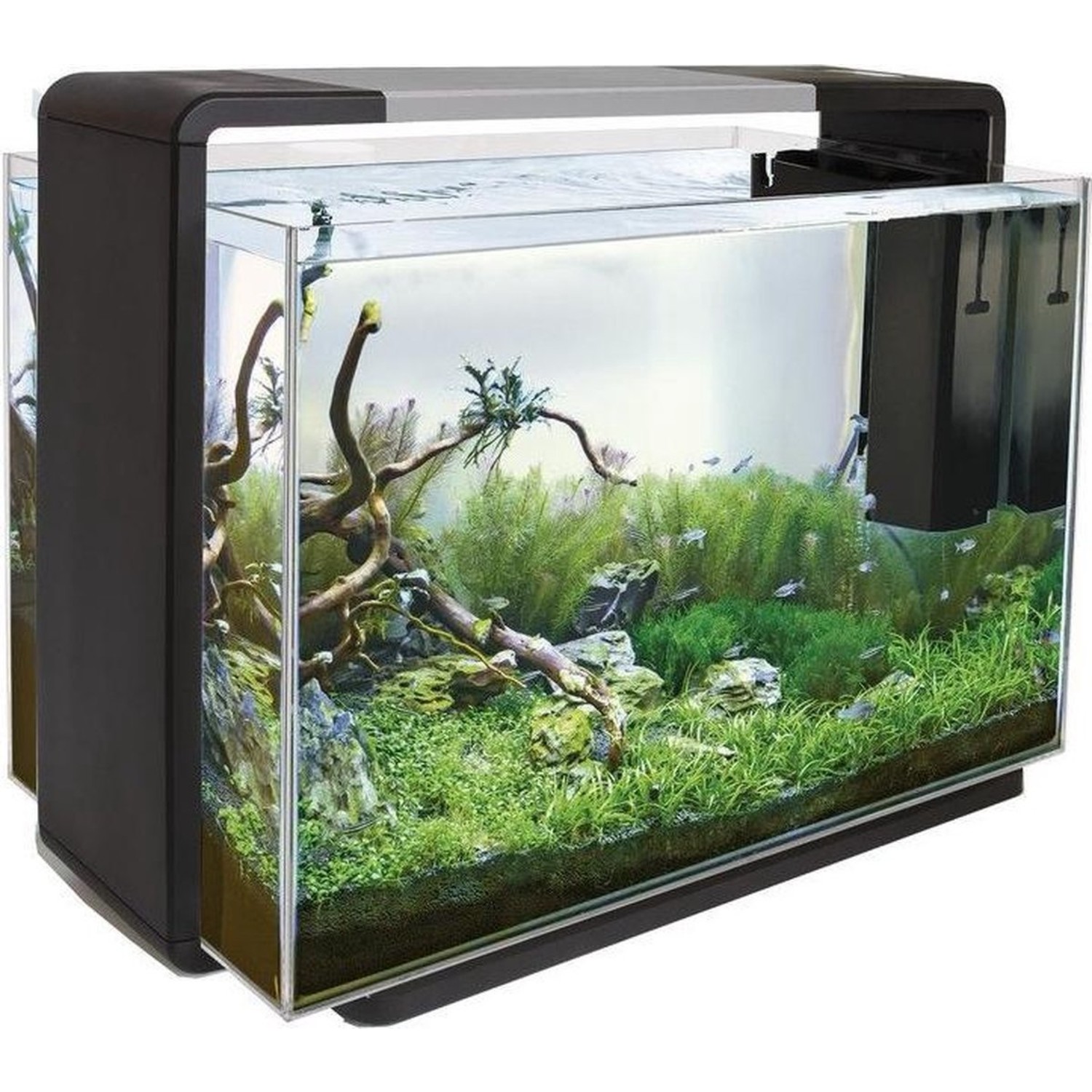 Leerling symbool prachtig Superfish Aquarium Home 110 36 x77 x 53 cm - Heems