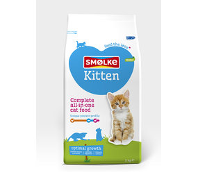 Smolke Smolke Cat Kitten Smolke Smolke Cat Kitten
