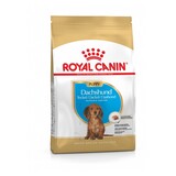 Royal Canin Royal Canin Dachshund/Teckel Puppy 1.5kg Royal Canin Royal Canin Dachshund/Teckel Puppy 1.5kg