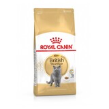 Royal Canin Royal Canin British Shorthair Royal Canin Royal Canin British Shorthair