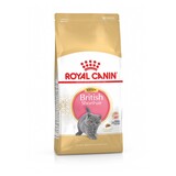 Royal Canin Royal Canin British Shorthair Kitten 2KG Royal Canin Royal Canin British Shorthair Kitten 2KG