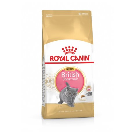 Royal Canin Royal Canin British Shorthair Kitten 2KG Royal Canin Royal Canin British Shorthair Kitten 2KG