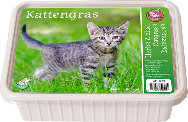 de Boon KATTENGRAS de Boon KATTENGRAS