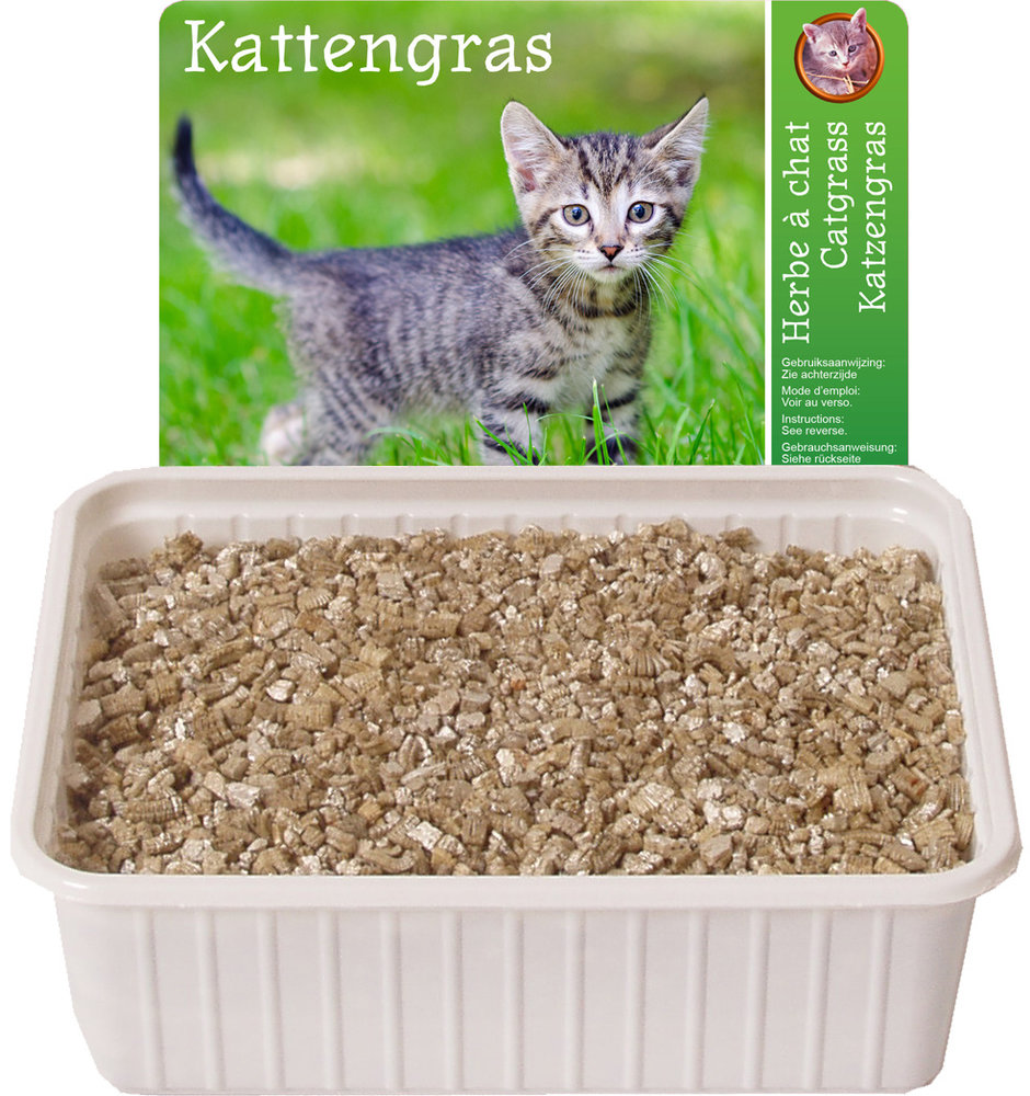 de Boon KATTENGRAS de Boon KATTENGRAS