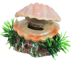 de Boon PR. ORNAMENT SCHELP  UITSTROMER de Boon PR. ORNAMENT SCHELP  UITSTROMER