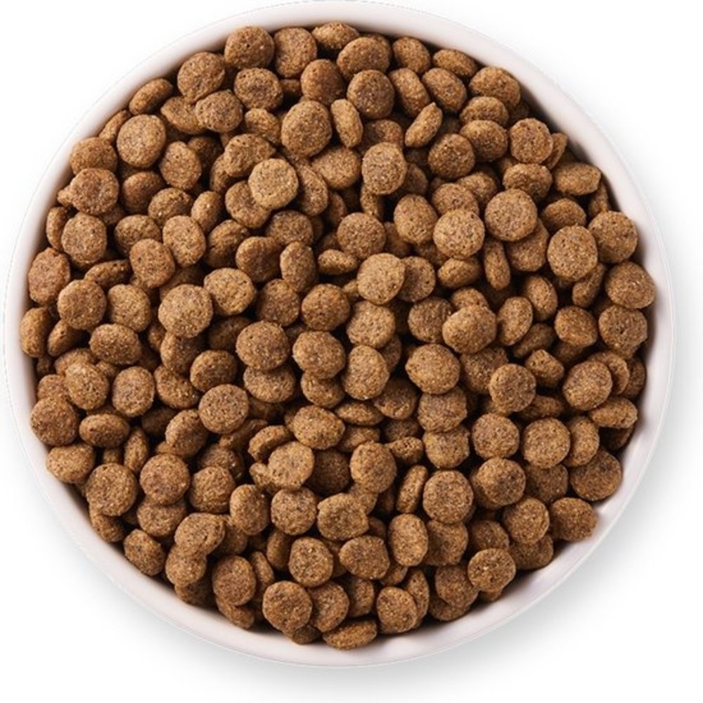 Yarrah Yarrah Kat Sterilised Yarrah Yarrah Kat Sterilised