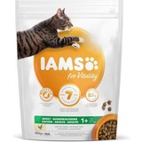 Iams Iams Cat Adult Chicken Iams Iams Cat Adult Chicken