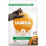 Iams Iams Cat Adult Zalm Iams Iams Cat Adult Zalm
