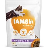 Iams Iams Cat Kitten/junior Chicken Iams Iams Cat Kitten/junior Chicken