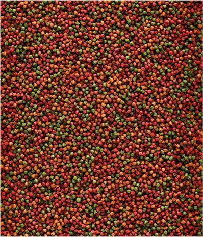 Nutri Bird Nutri Bird Uni Kompleet 1kg