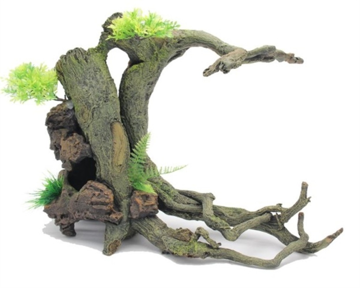 Blue Belle Pacific BLUE BELLE PACIFIC ROOT WITH PLANTS 51X28X37 Blue Belle Pacific BLUE BELLE PACIFIC ROOT WITH PLANTS 51X28X37