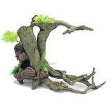 Blue Belle Pacific BLUE BELLE PACIFIC ROOT WITH PLANTS 51X28X37 Blue Belle Pacific BLUE BELLE PACIFIC ROOT WITH PLANTS 51X28X37