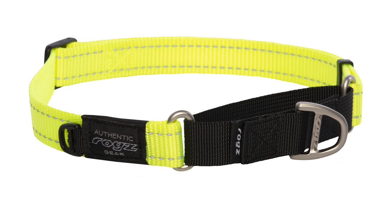 Rogz Utility Control Halsband L Rogz Utility Control Halsband L