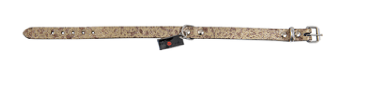 JACK & VANILLA Monaco Halsband Goud JACK & VANILLA Monaco Halsband Goud