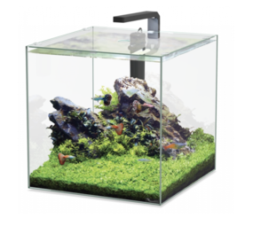 Aquatlantis Aquatlantis Aquarium Kubus 54 L Aquatlantis Aquatlantis Aquarium Kubus 54 L