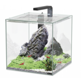 Aquatlantis Aquatlantis Aquarium Kubus 33 L Aquatlantis Aquatlantis Aquarium Kubus 33 L