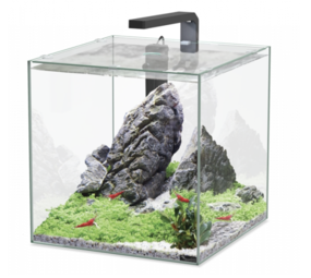 Aquatlantis Aquatlantis Aquarium Kubus 33 L Aquatlantis Aquatlantis Aquarium Kubus 33 L