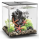 Biorb BIORB AQUARIUM CUBE 30 MCR ZWART Biorb BIORB AQUARIUM CUBE 30 MCR ZWART