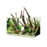Oase Oase Scaperline 60 Aquarium Oase Oase Scaperline 60 Aquarium