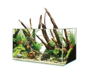 Oase Oase Scaperline 60 Aquarium Oase Oase Scaperline 60 Aquarium