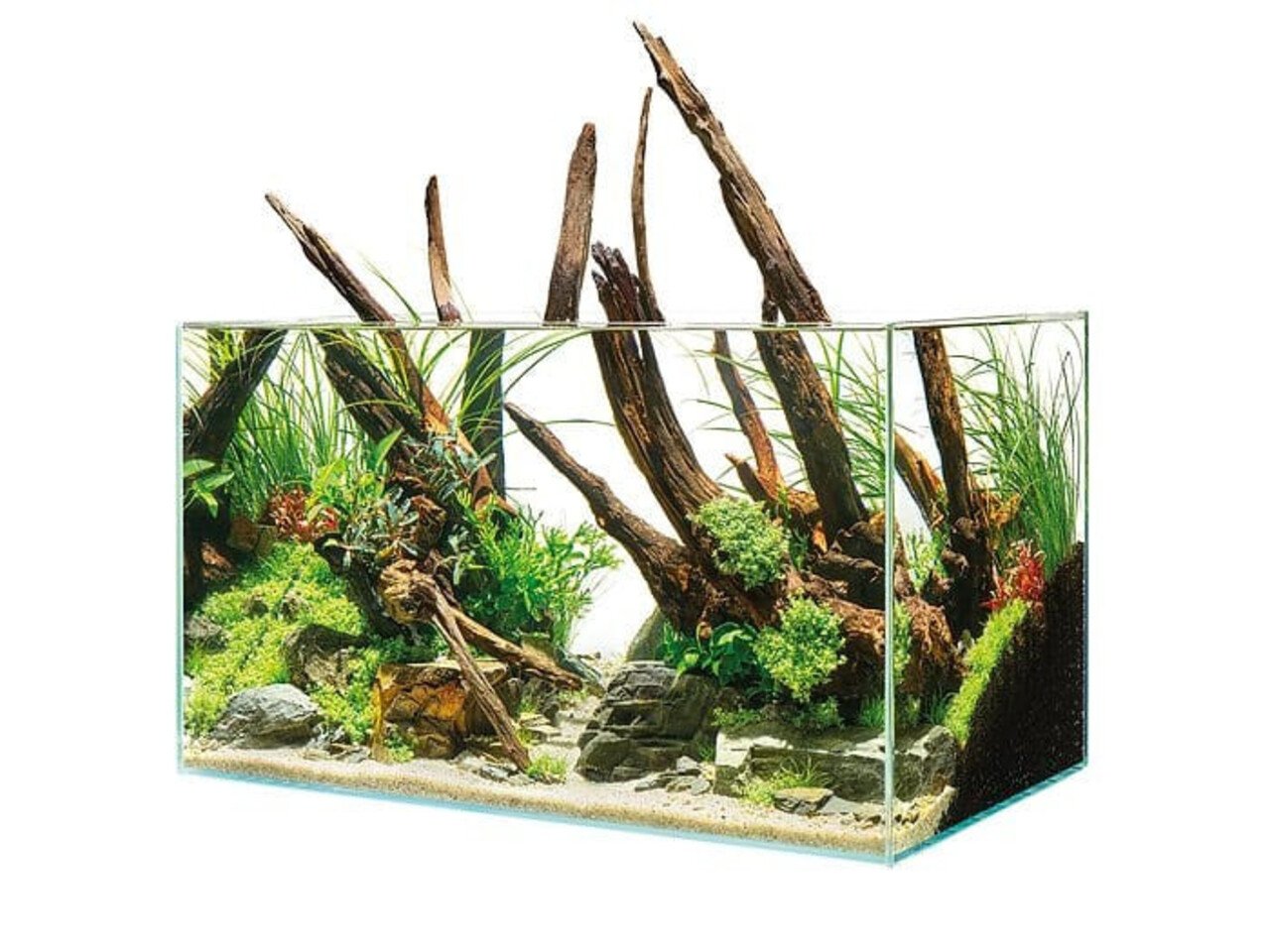 Oase Oase Scaperline 90 Aquarium Oase Oase Scaperline 90 Aquarium