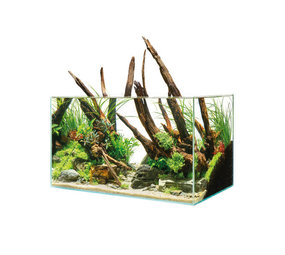 Oase Oase Scaperline 100 Aquarium Oase Oase Scaperline 100 Aquarium
