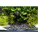 Dennerle Dennerle grind baikal 3-8mm Dennerle Dennerle grind baikal 3-8mm