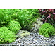 Dennerle Dennerle grind river L Dennerle Dennerle grind river L
